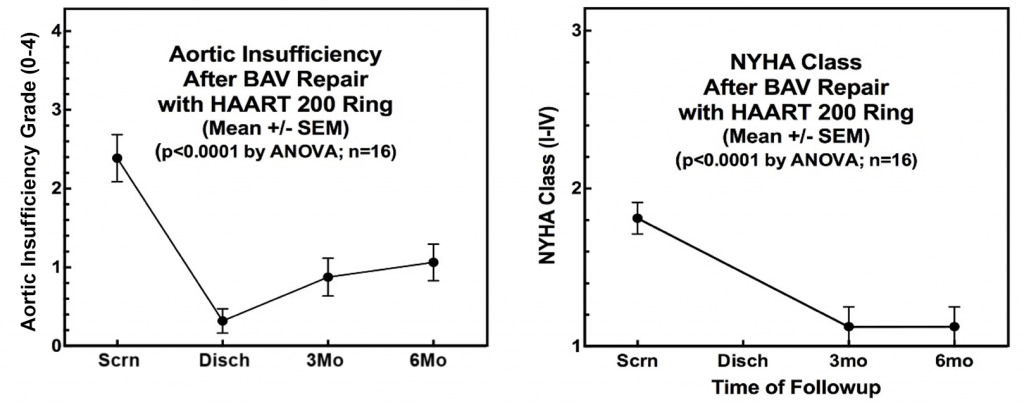 HAART 200 Aortic Insufficiency Grade NYHA Class